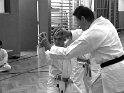 Dojo 2013-52